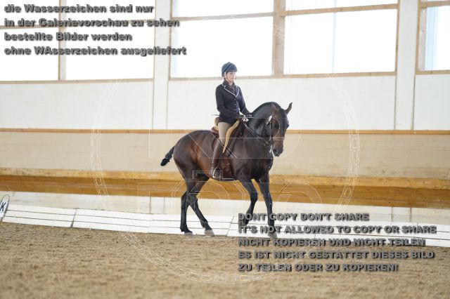 s_K3F01850.JPG